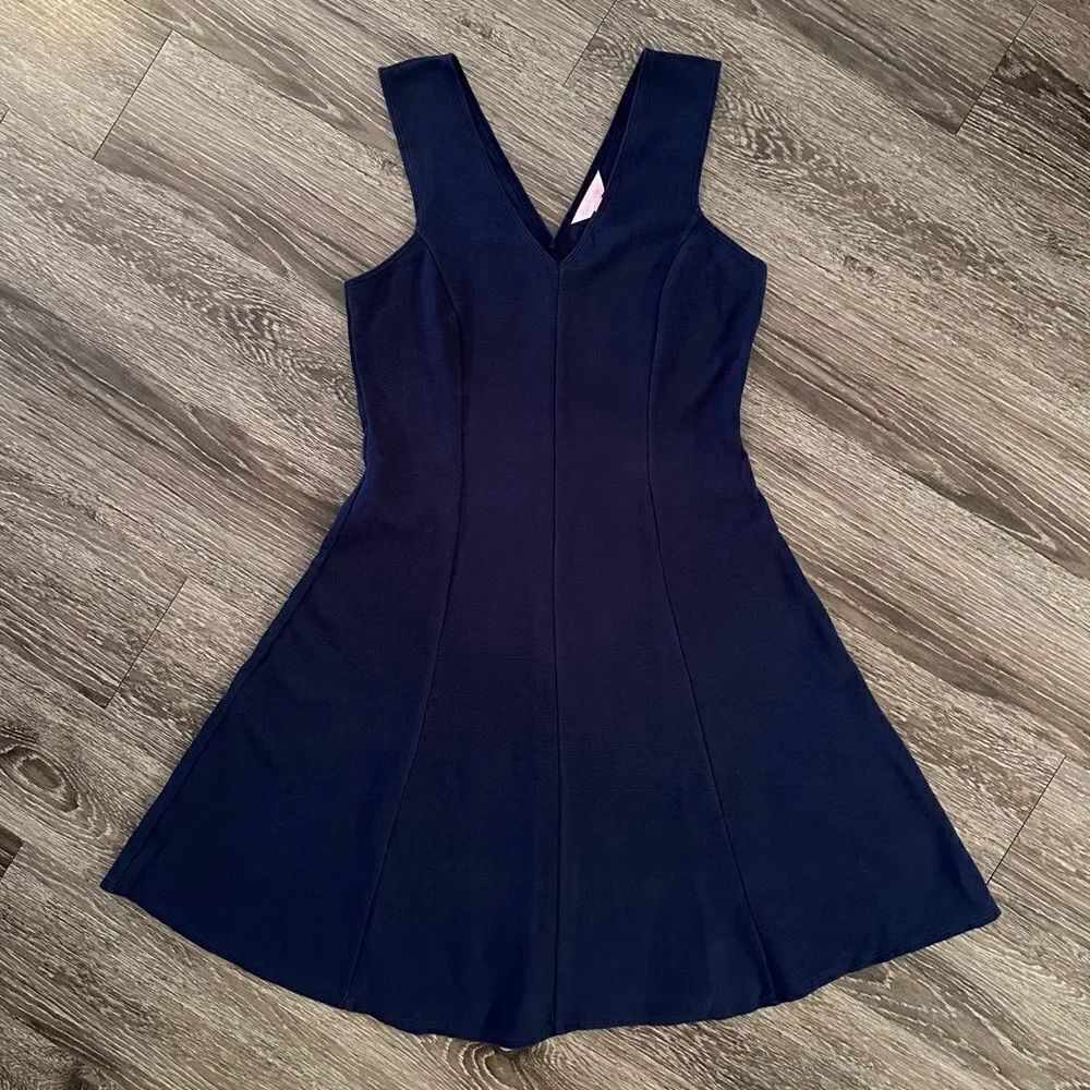 Lilly Pulitzer Dahlia Fit and Flare Dress